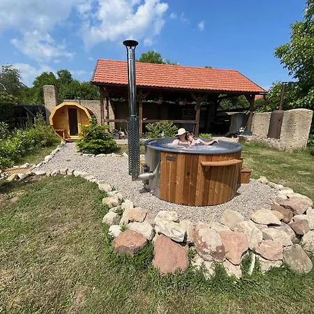 Zeleny Grunt Guest house Drinov (Central Bohemian)