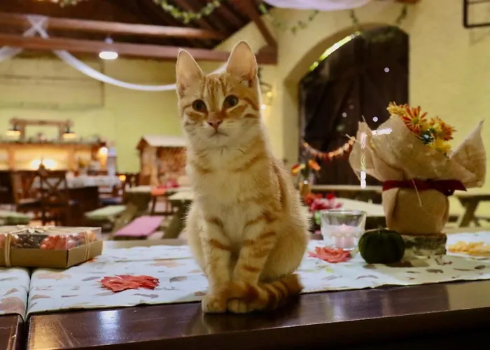 Vendégház Zeleny Grunt 4*