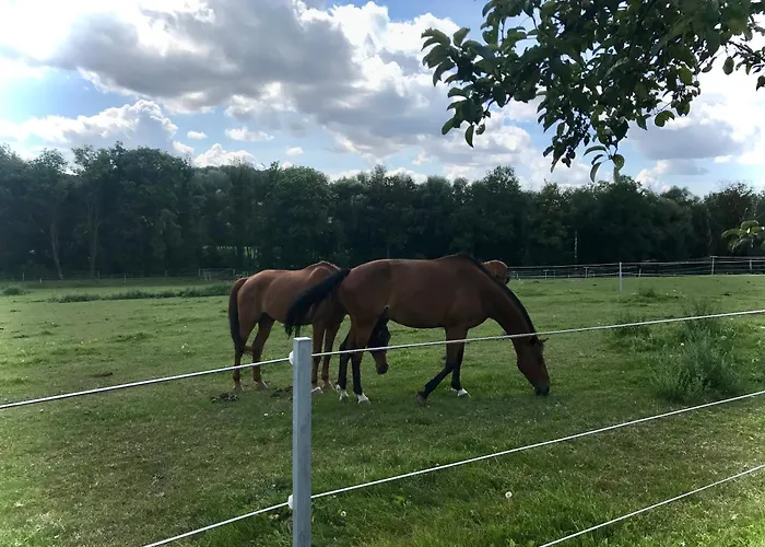 Gasthof Zelený Grunt